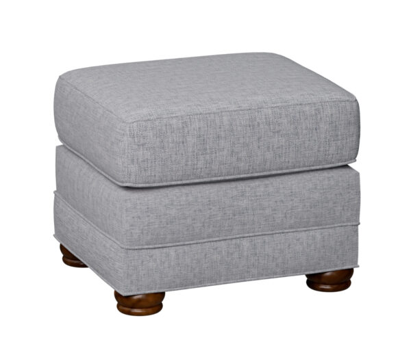 Princeton Ottoman